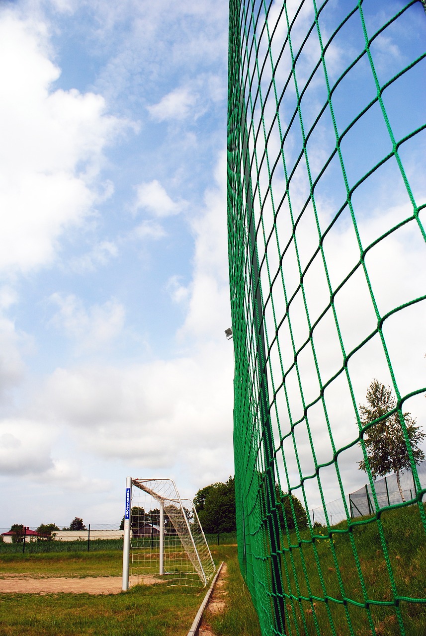 的惊喜与感 的惊喜与感