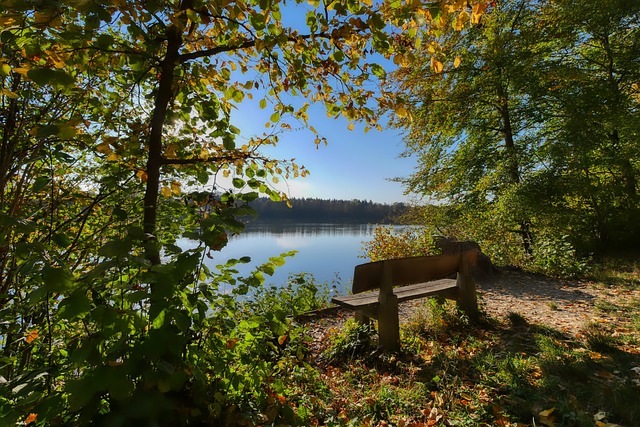 最后一道防 最后一道防
