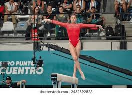 在中国职业 在中国职业