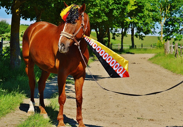 关键所在 关键所在