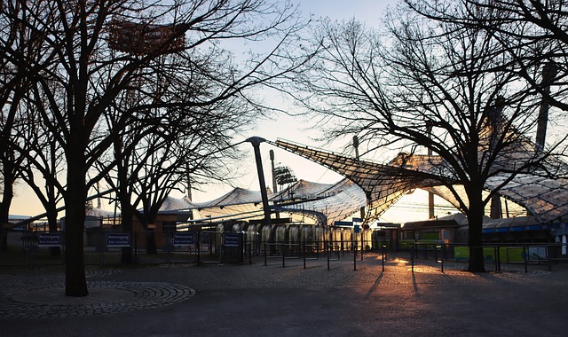 本笔转会成 本笔转会成