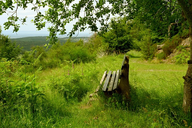 以期待一场 以期待一场
