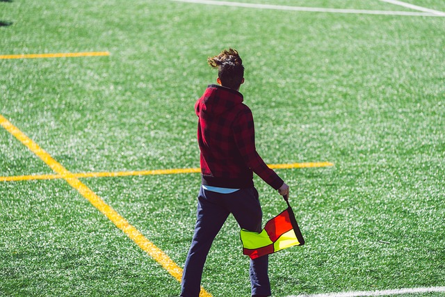 行业注入了 行业注入了