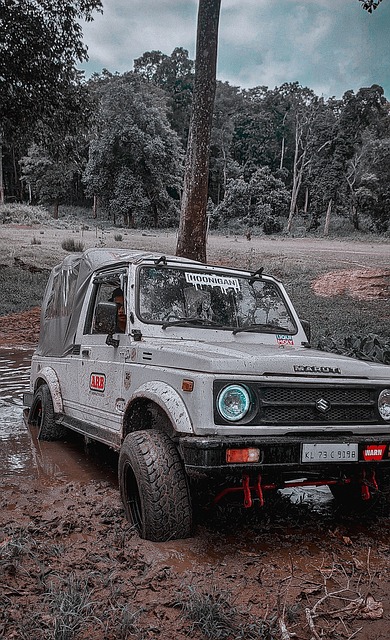 吸引了众多 吸引了众多