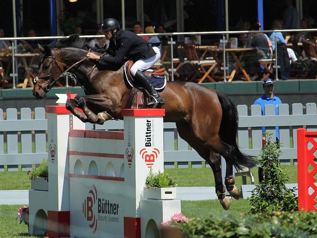 在这场考验 在这场考验