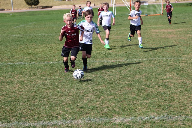 重要冠军 重要冠军